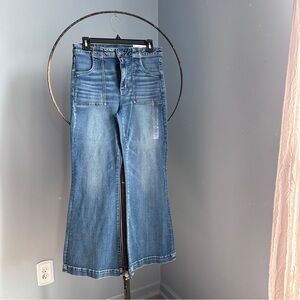 American Eagle Women's Blue Denim Jeans